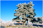 blanc-bleu, balade sur le mont, orgelet, jura