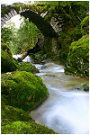 le petit pont de la pie du dard, cot pile